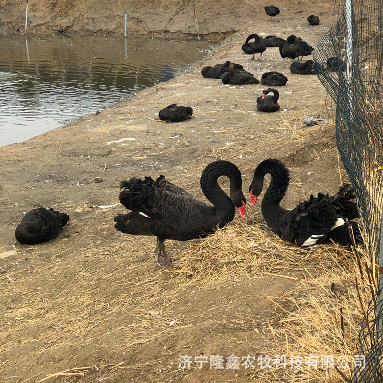 IMG_2228_副本.jpg