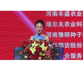 花生高产优质栽培技术-山东农业大学万勇善教授