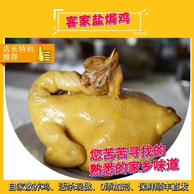 盐焗鸡广东正宗整只盐焗鸡客家特产即食鸡肉盐局鸡真空熟食