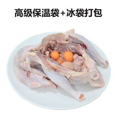 正宗黄油老母鸡新鲜现杀走地鸡土鸡草鸡溜达鸡2年图2