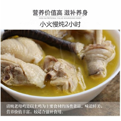 正宗黄油老母鸡新鲜现杀走地鸡土鸡草鸡溜达鸡2年图4