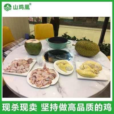 【山鸡凰】海南文昌鸡半只切块散养品质椰子鸡餐厅原切块走地鸡块图4