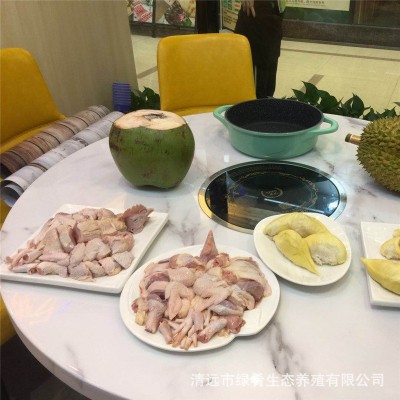 【山鸡凰】文昌鸡海南农家散养椰子鸡新鲜整鸡走地鸡土鲜鸡肉批发图3
