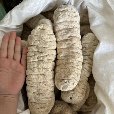 海参干货 猪婆参大象牙参玉兰参白瓜参精选A级大乌参批发500g