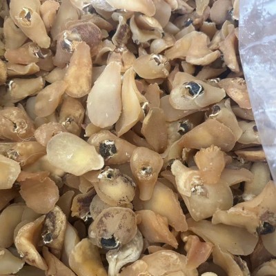 珍珠鲍螺肉黄肉鲍鱼玉螺深海足干七星鲍螺肉刺身干货北海特产500g图2