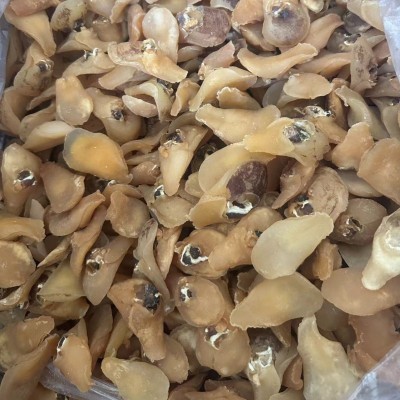 珍珠鲍螺肉黄肉鲍鱼玉螺深海足干七星鲍螺肉刺身干货北海特产500g