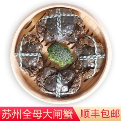 【一件代发】苏州大闸蟹礼鲜活全母螃蟹中秋阳澄湖镇发团购代理图5