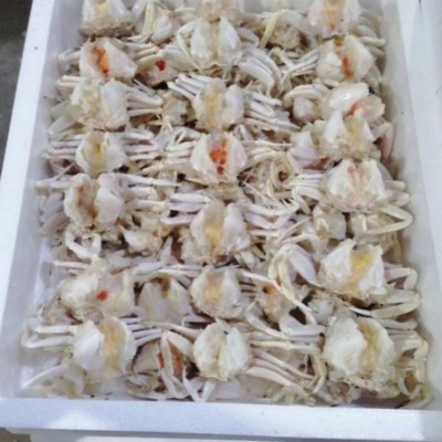 元宝蟹排 元宝蟹身 去壳元宝蟹 经济实惠 自助餐好食材图2
