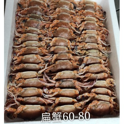 扁蟹 肉蟹 梭子蟹 肥满多肉,壳薄美味 厂家自销图2