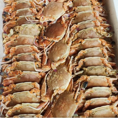 扁蟹 肉蟹 梭子蟹 肥满多肉,壳薄美味 厂家自销图3