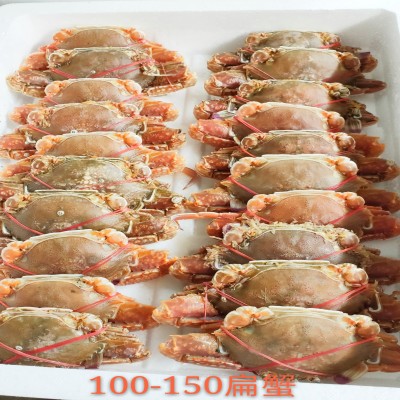 扁蟹 肉蟹 梭子蟹 肥满多肉,壳薄美味 厂家自销图5