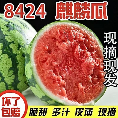 现摘冰糖8424麒麟西瓜水果新鲜10斤孕妇当季整箱大小甜瓜 类保包熟