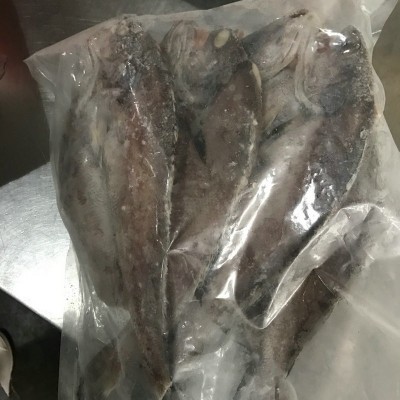 舟山海鲜 冷冻水产海捕鮸鱼 冷冻食品餐饮鱼类批发烧烤鱼厂家直供图5