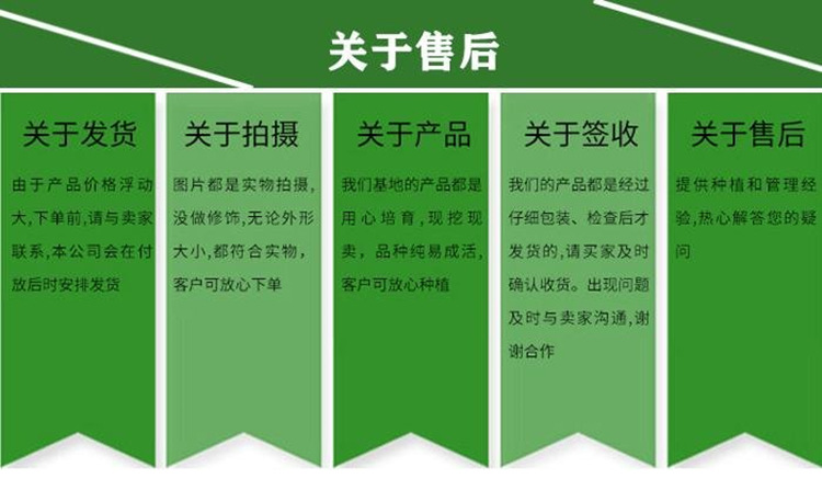 402447cbeb74349f6424547a44a56a