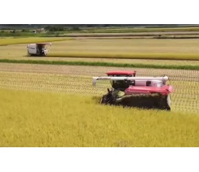 农业机械化技术，用机械代替人工，才是现代化农业发展方向