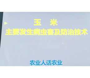 #分享农业知识帮农民增产增收 #农业人话农业