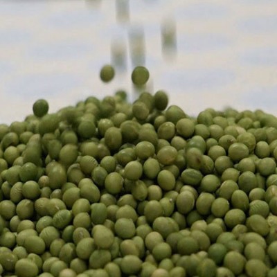 国家绿色食品中心认证东北大豆非转基因双青豆新货产地批发商用图4