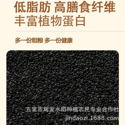 黑芝麻瓶装黑芝麻黑芝麻炒熟新货即食家用农家五谷杂粮图2