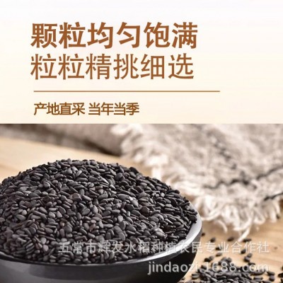 黑芝麻瓶装黑芝麻黑芝麻炒熟新货即食家用农家五谷杂粮图4