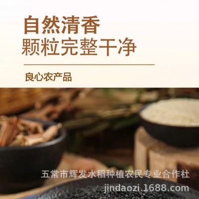 黑芝麻瓶装黑芝麻黑芝麻炒熟新货即食家用农家五谷杂粮图5