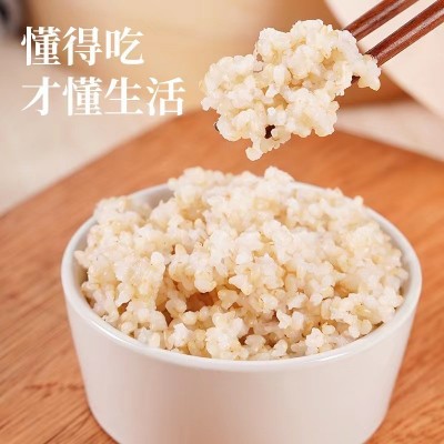 厂家东北大米政府补贴价批发发芽糙米粗粮东北新米杂粮真空装米图3