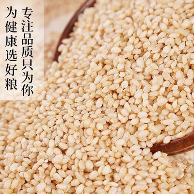 吉米春厂家大米批发发芽糙米粗粮东北新米玄米3kg 杂粮真空装米图2