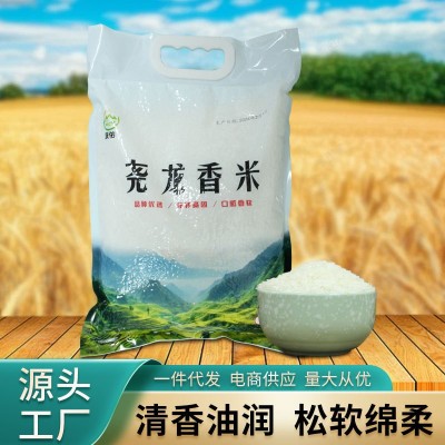 贵州康佑尧龙香米5斤一袋好米真空包装厂家批发大米可定制