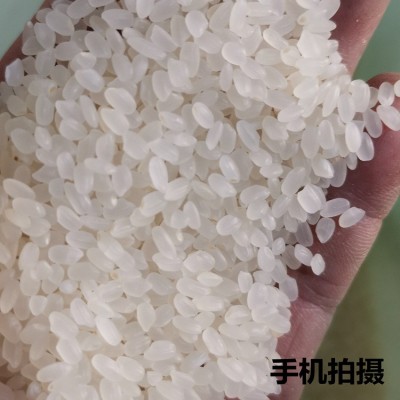 一稻一生二斤东北秋田小町圆粒米 1kg礼品大米会销赠品 一件代发图5