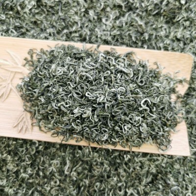 新茶四川雅安高山云雾绿茶蒙顶山毛峰香茶散装茶叶碧螺春图2