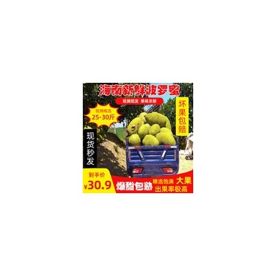 海南热带新鲜水果菠萝蜜20--35斤当季水果波罗蜜整箱特产整个