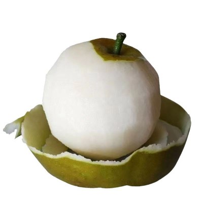 广西富川沙梨翠冠梨黄花梨桂花梨新鲜丰水梨薄皮脆甜多汁砀山梨图5