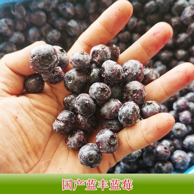 冷冻南高蓝莓10kg散装 餐饮榨汁水果 奶茶原料