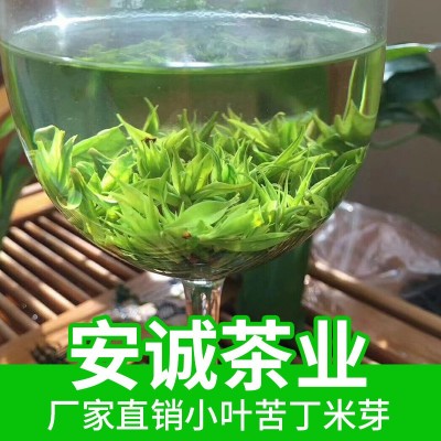 安诚厂家直销 小叶苦丁茶米芽 苦丁头芽 青山绿水大小米芽批发