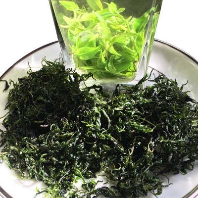 安诚厂家直销 云南毛冬青嫩芽 青山绿水小叶苦丁茶景区苦甘青批发图4