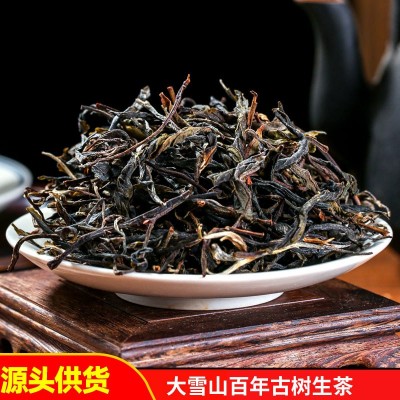 云南普洱生茶头春散茶散料500g普洱茶生茶乔木古树茶叶批发生普