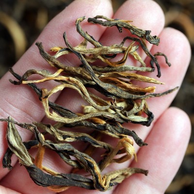 滇红红茶云南凤庆滇红茶古树红茶500g散装大金针茶叶批发红茶特级图3