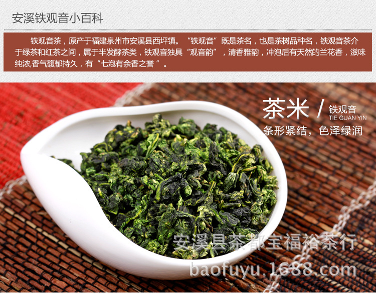 古茶树_06