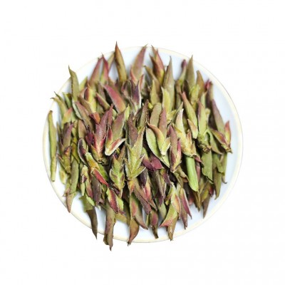 批发云南普洱茶紫芽苞 早春大雪山新茶明前春茶花蜜香茶叶图5