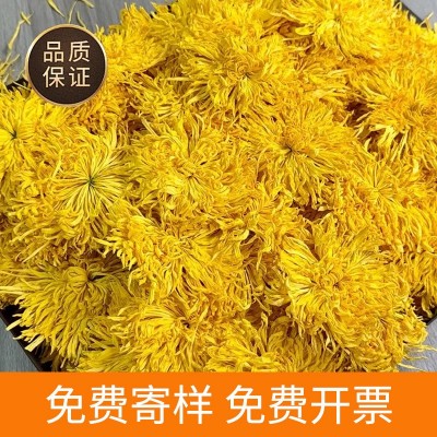 菊花茶黄山金丝皇菊散装黄菊花特级大菊花花瓣独立包装养生花茶叶图3