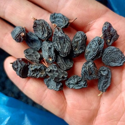 黑加仑葡萄干批发500克袋装 大颗粒葡萄干图4