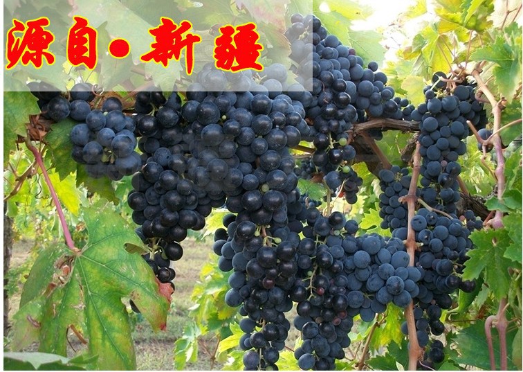 黑金1