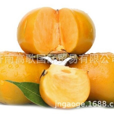 应季新鲜水果 脆柿子 出口 现摘新鲜脆柿子 欢迎大量选购图2