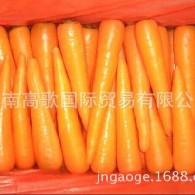 供应新鲜蔬菜 出口保鲜胡萝卜 carrot 胡萝卜 批发胡萝卜图4