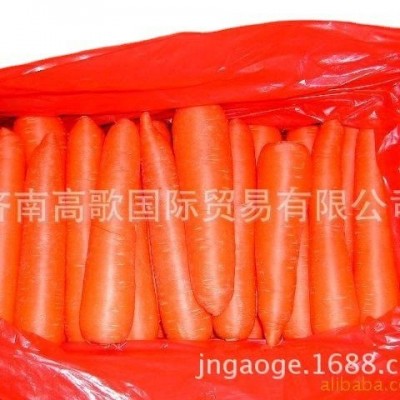 供应新鲜蔬菜 出口保鲜胡萝卜 carrot 胡萝卜 批发胡萝卜图2