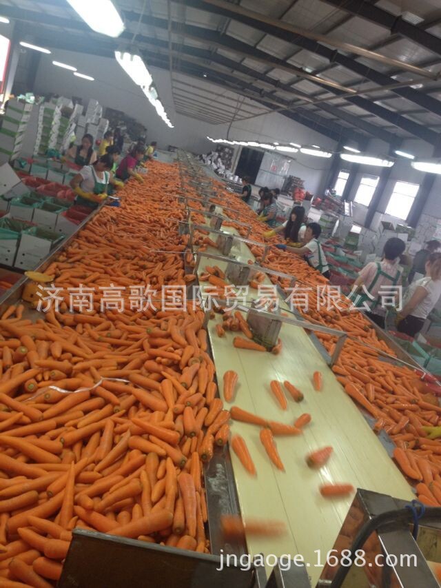 QQ图片20140704090050