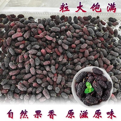 冷冻桑葚颗粒大什批发速冻桑葚果冷冻食品新鲜桑葚无砂工业包装图3