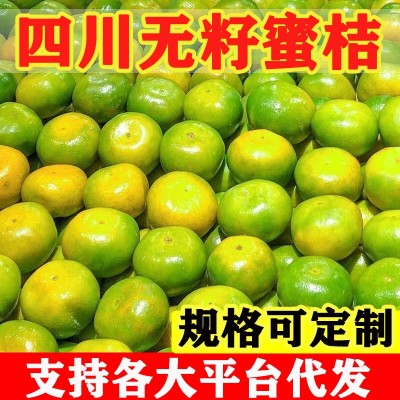 蜜橘新鲜桔子无籽蜜桔薄皮孕妇水果柑橘早熟桔子批发青皮蜜橘蜜桔