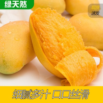 现摘海南小台芒整箱5斤包邮新鲜当季天然现摘台农大青芒一件代发图3