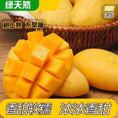 批发海南新鲜小台芒果非贵妃芒新鲜水果皮薄味美热带水果一件代发图3