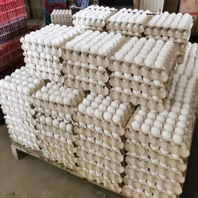 现货白壳新鲜鸡蛋批发白壳鸡蛋五谷喂养鲜鸡蛋360枚一箱厂家批发图3